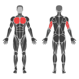 Standing Press Around affected muscles