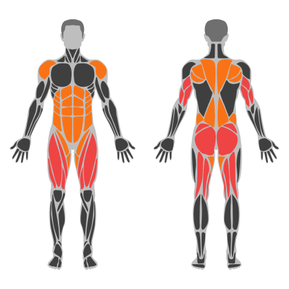 Legs and Glute Volume affected muscles