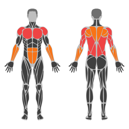 Upper Technique affected muscles