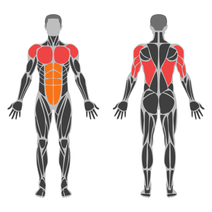 Triceps and Chest affected muscles