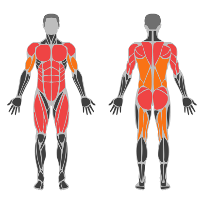 Full Body Power affected muscles