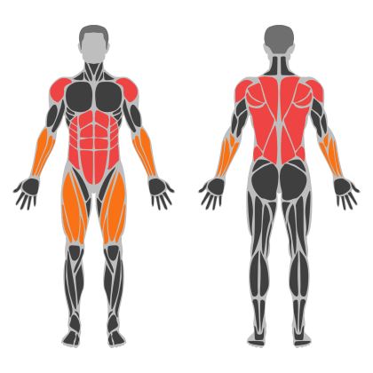 Upper Body Balance affected muscles