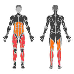 Jump Rope affected muscles
