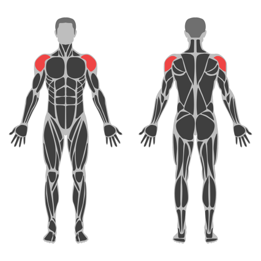 Dumbbell Alternate Front Raise affected muscles