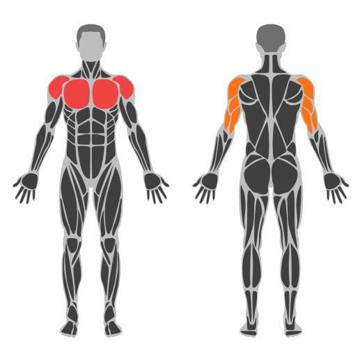 Static Front Hold affected muscles