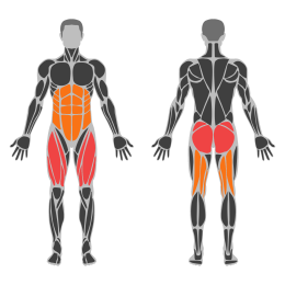 Landmine Squat affected muscles