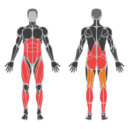 Legs affected muscles