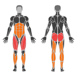 Stair Climber affected muscles