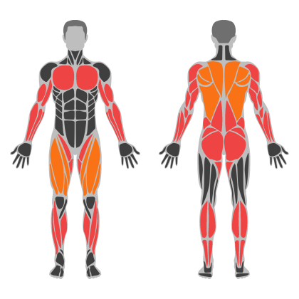 Full Body Practice affected muscles
