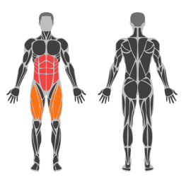 Band Bicycle Crunches affected muscles