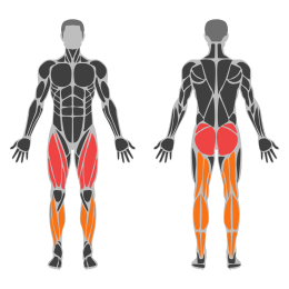 Dumbbell Reverse Lunge off Step affected muscles