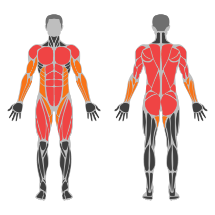 Full Body Power affected muscles