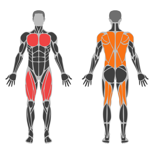 Assault Air Bike affected muscles
