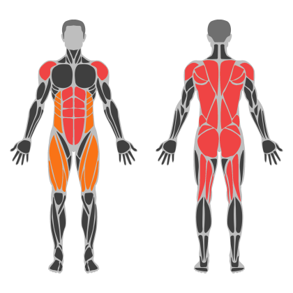 Full Body B affected muscles