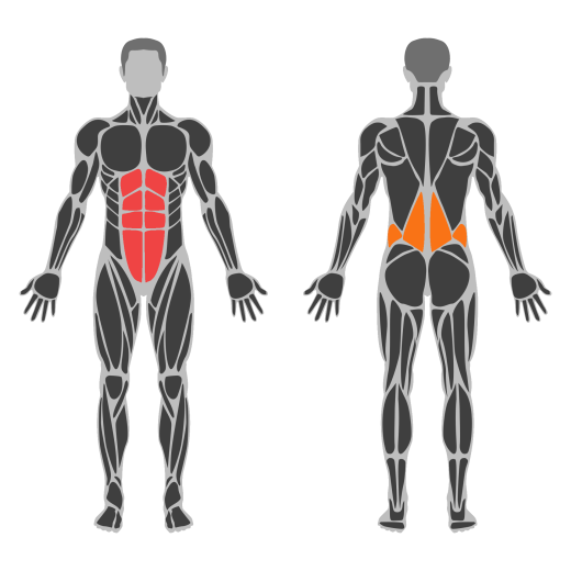 Cat Cow affected muscles