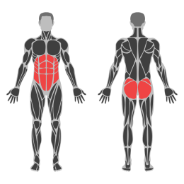 Side Plank Hip Abduction affected muscles