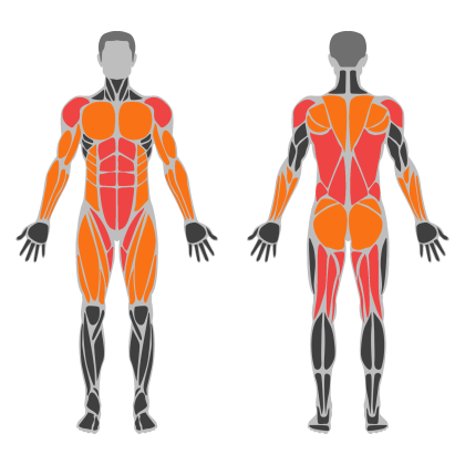 Conditioning Circuit affected muscles