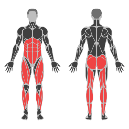 Legs affected muscles