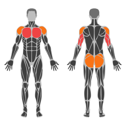 Jack Push-Up affected muscles
