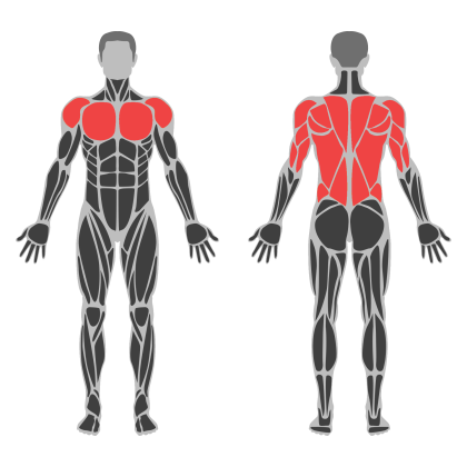 Upper Technique affected muscles