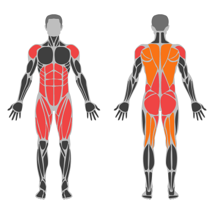 Back and Legs Support affected muscles