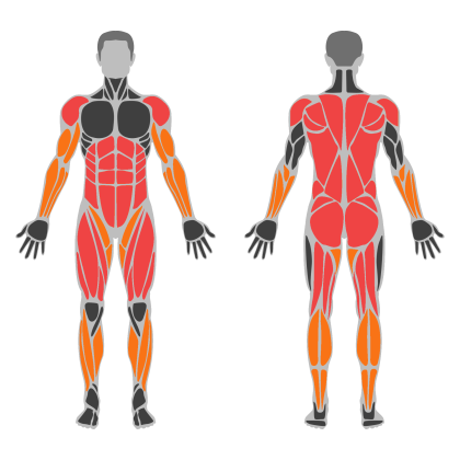 Conditioning Circuit affected muscles
