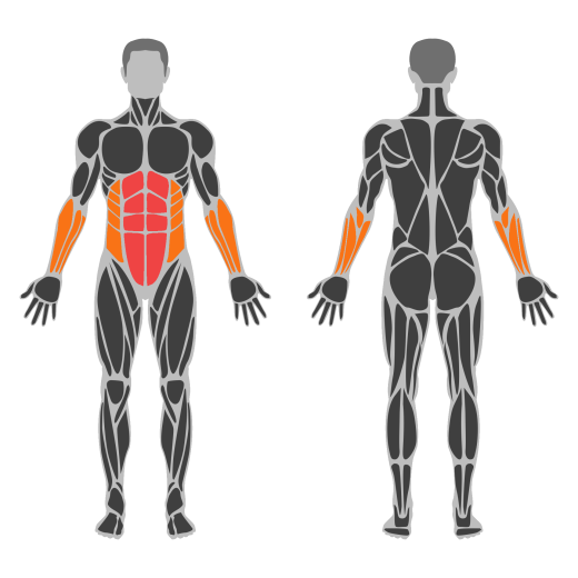 Hanging Straight Leg Raise affected muscles