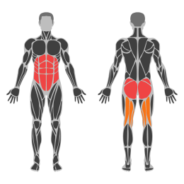 Bodyweight Windmill affected muscles
