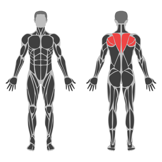 Neck Side Stretch affected muscles