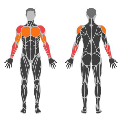 Wrist Roller affected muscles