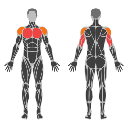 Barbell Larsen Press affected muscles