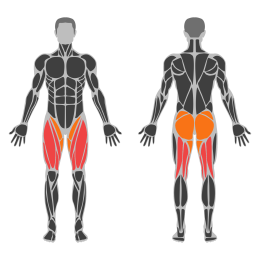 Weighted Cossack Squat affected muscles