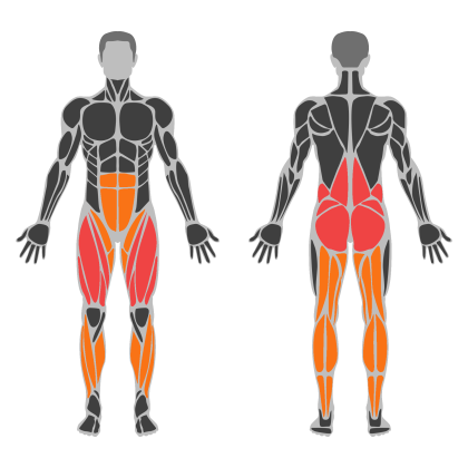 Glute Strength affected muscles