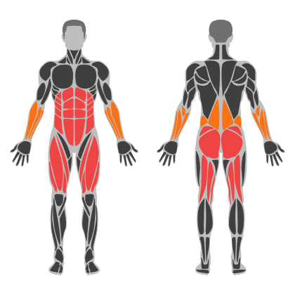 Lower Body Strength affected muscles