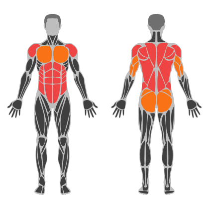 Upper Body Balance affected muscles