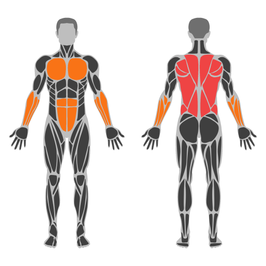 Inverted Shrug affected muscles