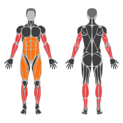 Arm Volume affected muscles