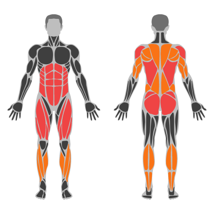 Back and Legs Support affected muscles