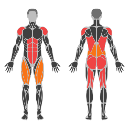 Full Body B affected muscles