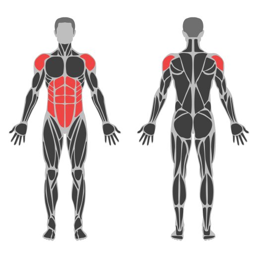 Landmine Twist affected muscles