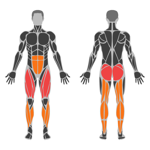 Broad Jump affected muscles