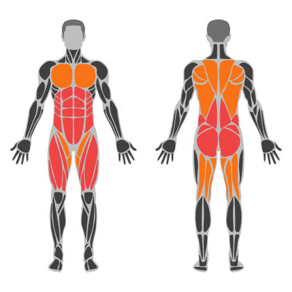 Lower Body and Glutes affected muscles