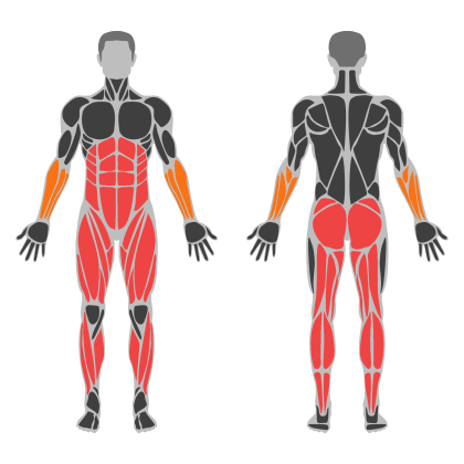 Legs affected muscles