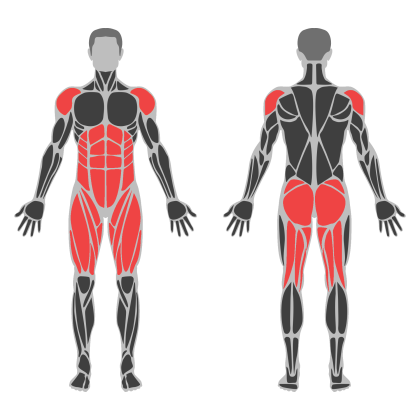 Lower Body and Glutes affected muscles
