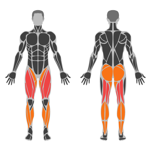 Walking Cardio affected muscles