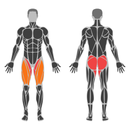 Rocking Frog affected muscles