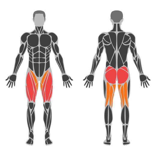 Hodajući iskoraci s bučicama affected muscles