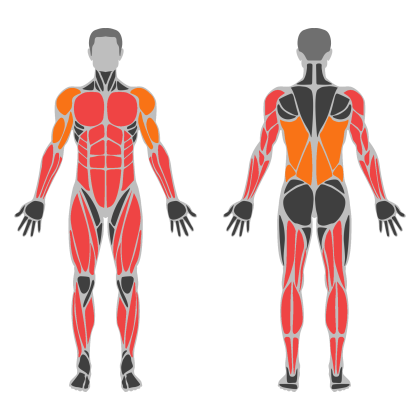 Full Body Technique affected muscles