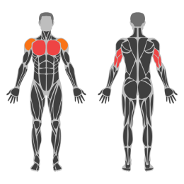 Close Grip Smith Bench Press affected muscles