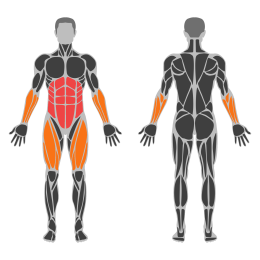 Hanging Scissors Kicks affected muscles